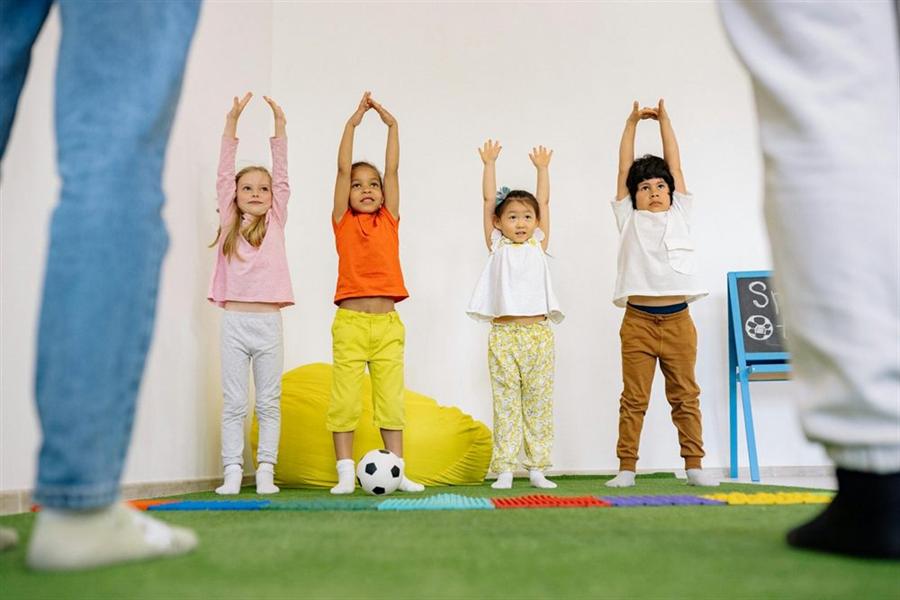 Health of children and young people programme