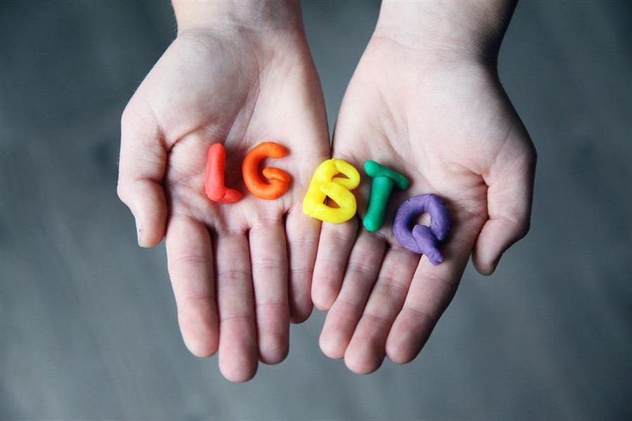 Gender identity and health equity programme